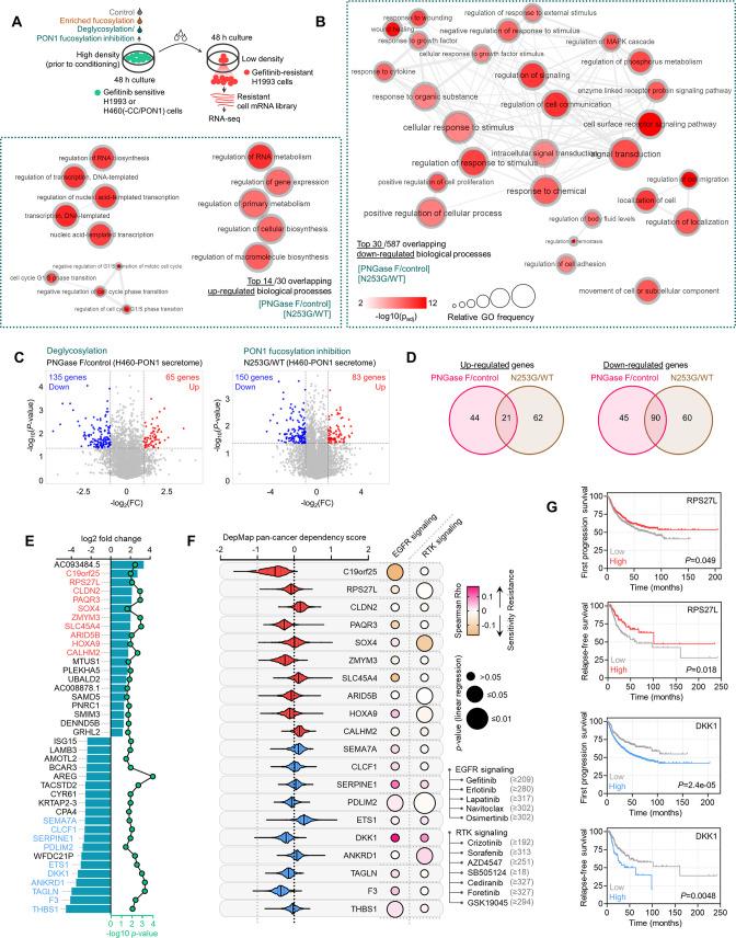 https://cdn.ncbi.nlm.nih.gov/pmc/blobs/7203/10089660/676e05002728/elife-75191-fig6.jpg