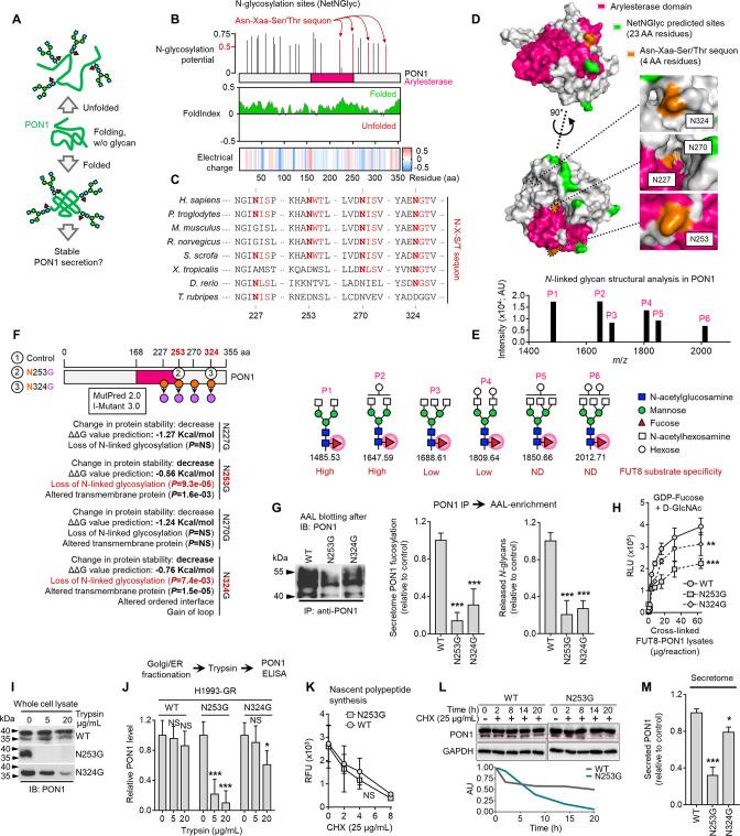 https://cdn.ncbi.nlm.nih.gov/pmc/blobs/7203/10089660/6d4c373c500a/elife-75191-fig4.jpg