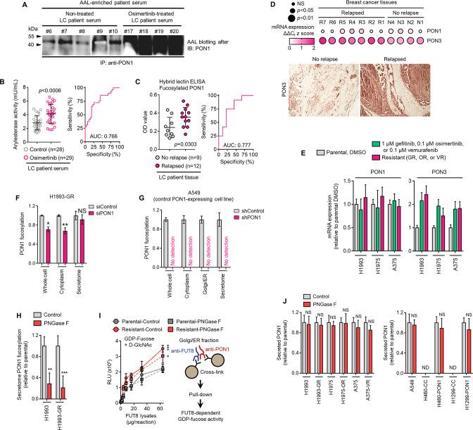 https://cdn.ncbi.nlm.nih.gov/pmc/blobs/7203/10089660/76811fdead47/elife-75191-fig3-figsupp2.jpg