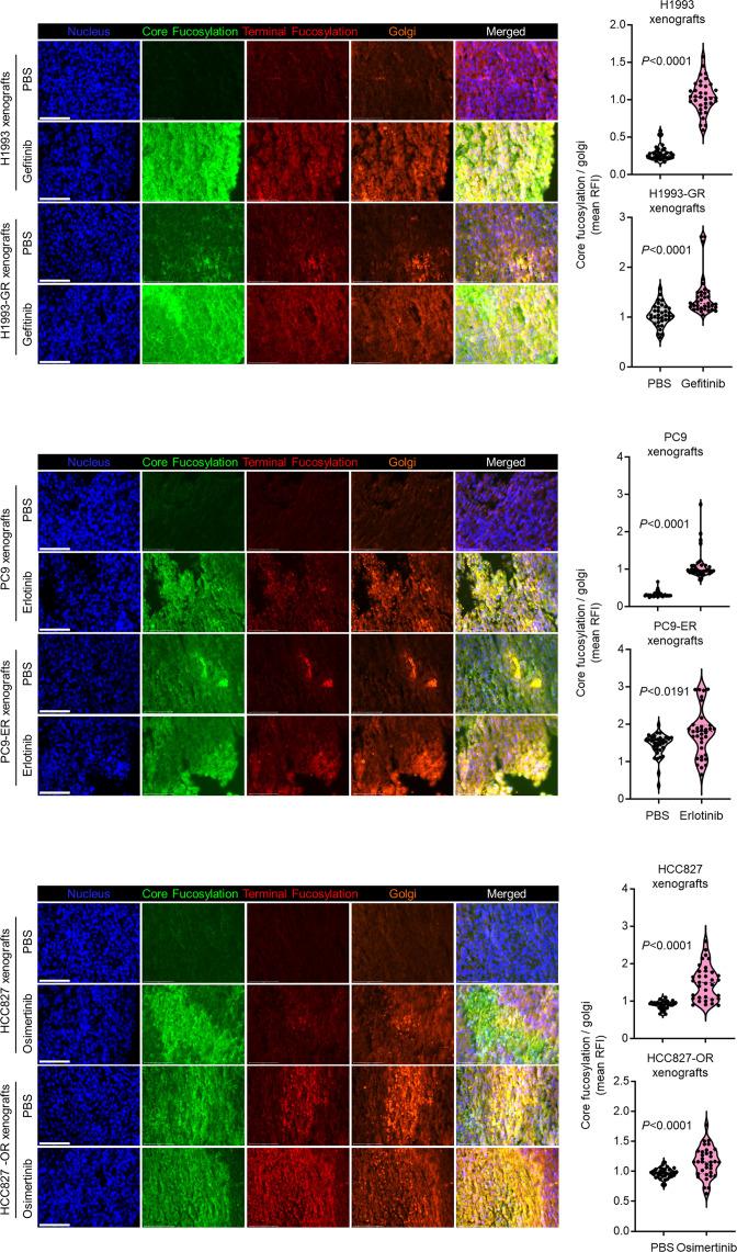 https://cdn.ncbi.nlm.nih.gov/pmc/blobs/7203/10089660/a69690683900/elife-75191-fig1-figsupp12.jpg