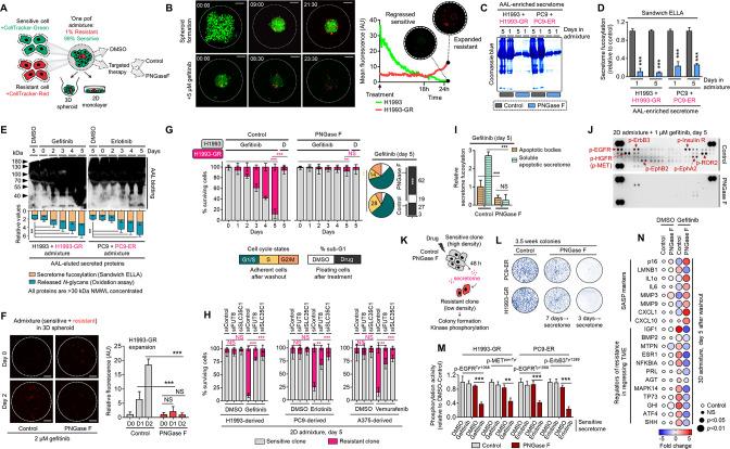 https://cdn.ncbi.nlm.nih.gov/pmc/blobs/7203/10089660/d50fa65679b0/elife-75191-fig2.jpg