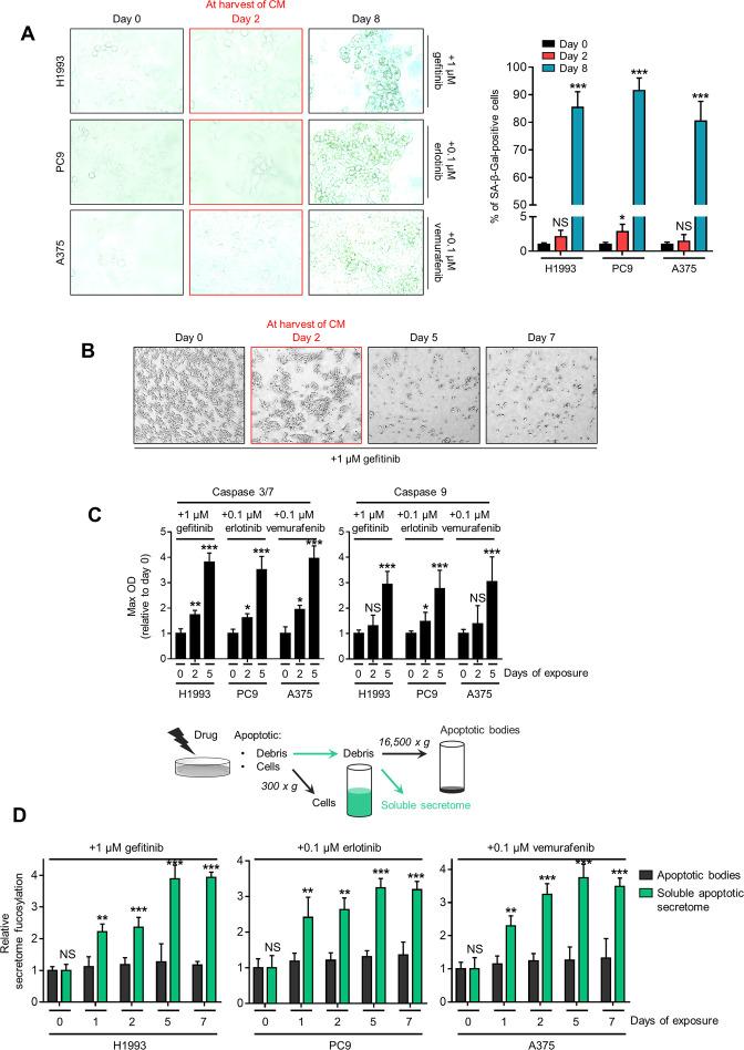 https://cdn.ncbi.nlm.nih.gov/pmc/blobs/7203/10089660/e591677bc200/elife-75191-fig2-figsupp1.jpg