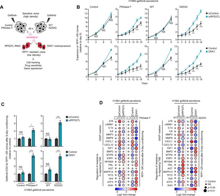 https://cdn.ncbi.nlm.nih.gov/pmc/blobs/7203/10089660/e663c122e144/elife-75191-fig6-figsupp3.jpg