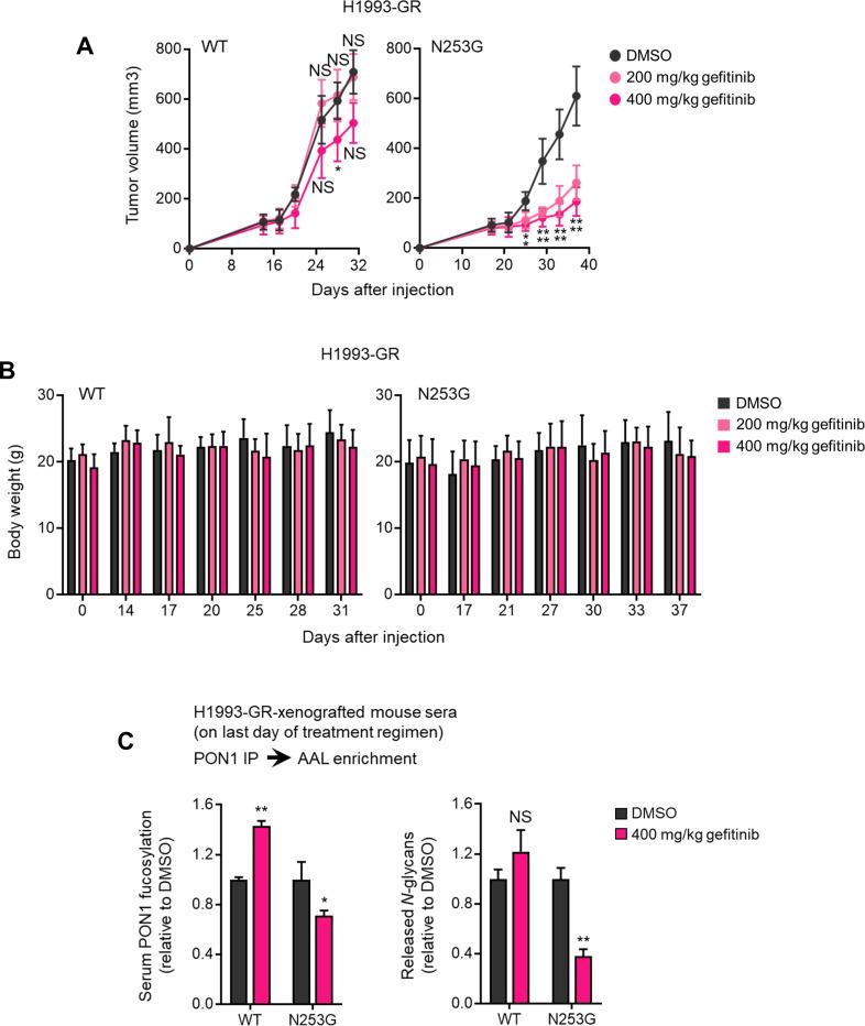 https://cdn.ncbi.nlm.nih.gov/pmc/blobs/7203/10089660/f334236124d9/elife-75191-fig4-figsupp3.jpg
