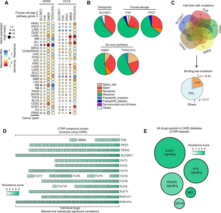 https://cdn.ncbi.nlm.nih.gov/pmc/blobs/7203/10089660/f7925f7a22da/elife-75191-fig1-figsupp2.jpg