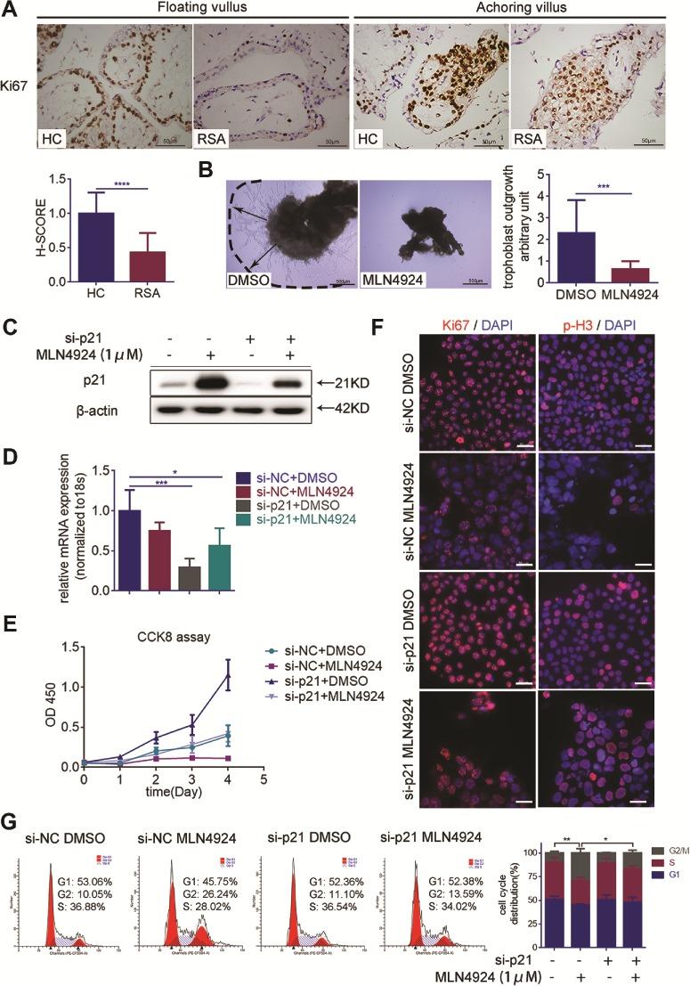 https://cdn.ncbi.nlm.nih.gov/pmc/blobs/7203/7227182/07109e3223ad/gaaa021f3.jpg