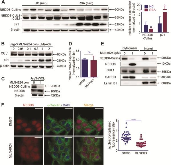 https://cdn.ncbi.nlm.nih.gov/pmc/blobs/7203/7227182/0e7881523425/gaaa021f2.jpg