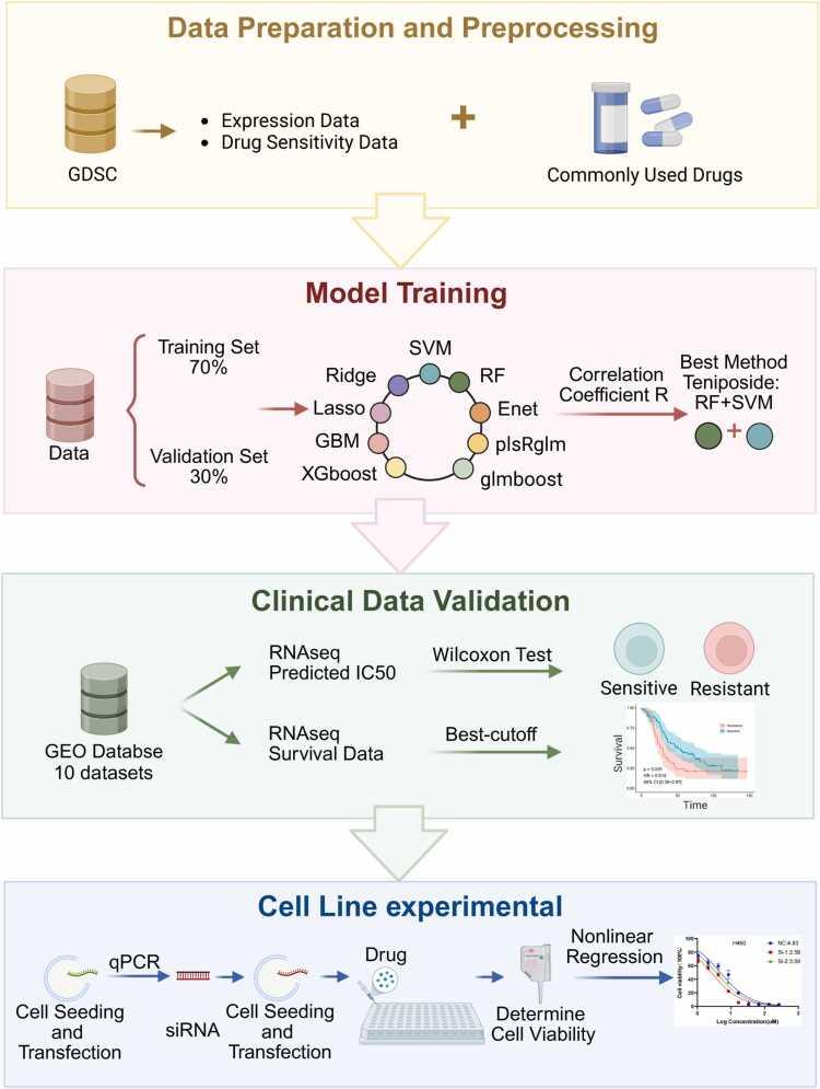 https://cdn.ncbi.nlm.nih.gov/pmc/blobs/7204/12329548/b033d69c96fb/gr1.jpg