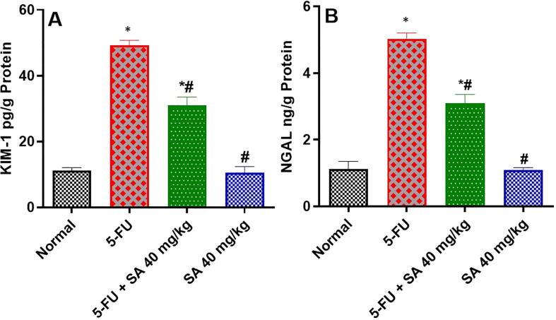 https://cdn.ncbi.nlm.nih.gov/pmc/blobs/7205/10275981/938ec31d5f2e/gr1.jpg