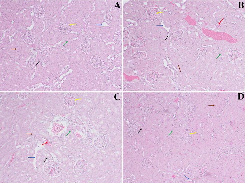 https://cdn.ncbi.nlm.nih.gov/pmc/blobs/7205/10275981/9606693ecae4/gr7.jpg