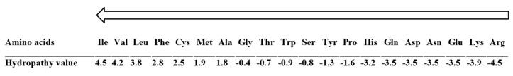 https://cdn.ncbi.nlm.nih.gov/pmc/blobs/7205/6681432/68a7dd27f65f/molecules-24-02653-g001.jpg
