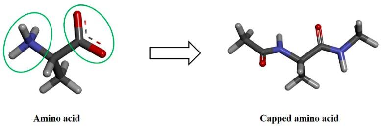 https://cdn.ncbi.nlm.nih.gov/pmc/blobs/7205/6681432/70197cd4f2fd/molecules-24-02653-g005.jpg