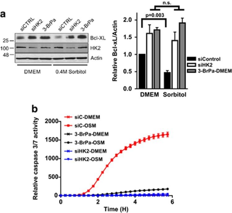 https://cdn.ncbi.nlm.nih.gov/pmc/blobs/7208/4558502/ca8a0e7231c0/cddis2015209f3.jpg