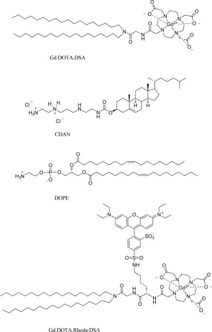 https://cdn.ncbi.nlm.nih.gov/pmc/blobs/720b/2871136/6628962202f5/ijms-11-01759f7.jpg