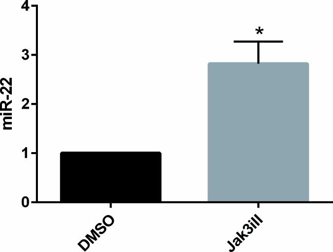 https://cdn.ncbi.nlm.nih.gov/pmc/blobs/720b/4653025/07b605216199/oncotarget-06-20555-g004.jpg