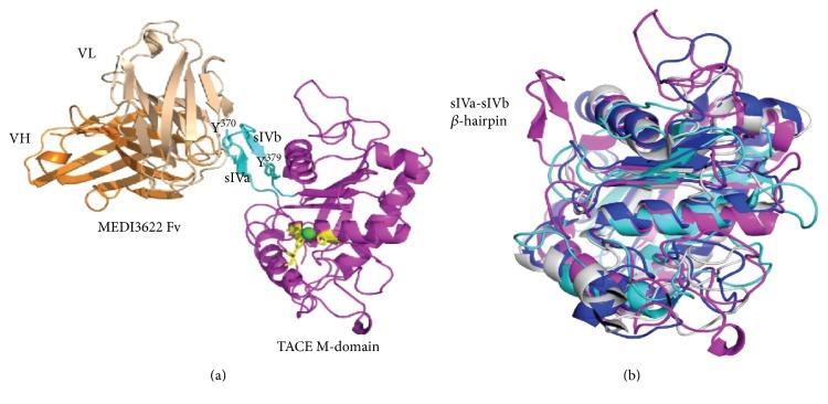 https://cdn.ncbi.nlm.nih.gov/pmc/blobs/720b/5688260/4cfa3a6ea626/MI2017-9673537.004.jpg