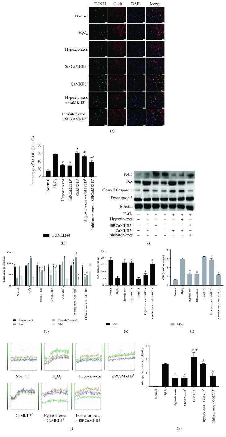 https://cdn.ncbi.nlm.nih.gov/pmc/blobs/720d/6109555/6a0baa35ef4a/OMCL2018-4971261.007.jpg