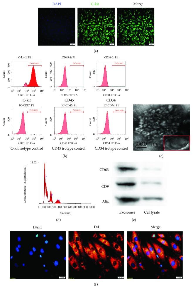 https://cdn.ncbi.nlm.nih.gov/pmc/blobs/720d/6109555/a690eee6a874/OMCL2018-4971261.002.jpg