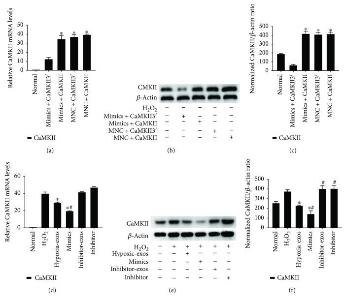 https://cdn.ncbi.nlm.nih.gov/pmc/blobs/720d/6109555/a96d21cf0b57/OMCL2018-4971261.005.jpg