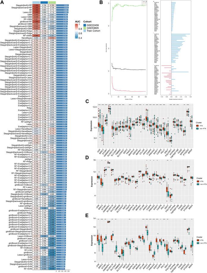 https://cdn.ncbi.nlm.nih.gov/pmc/blobs/720e/10646529/2d499ef85dcc/fgene-14-1276963-g002.jpg