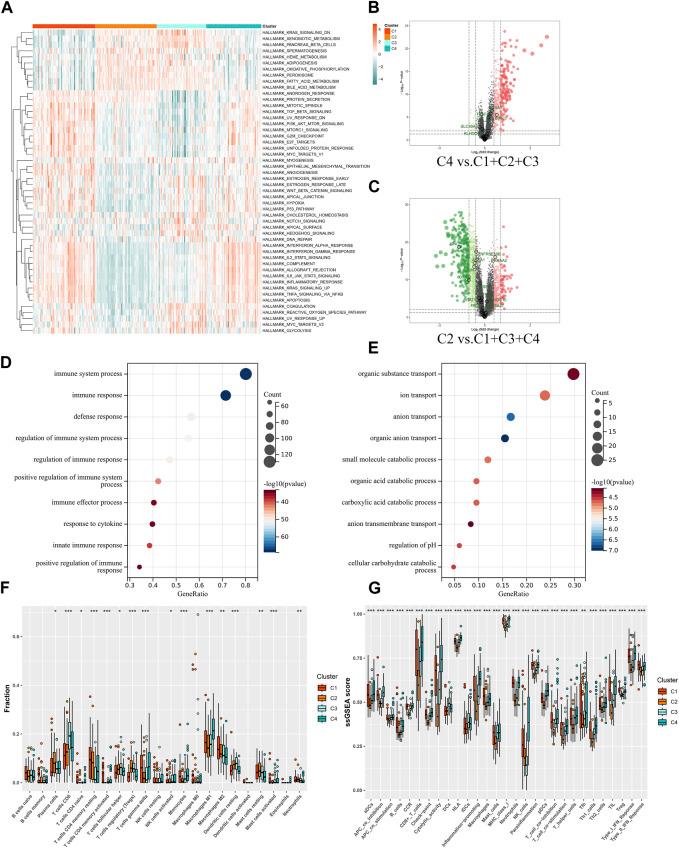 https://cdn.ncbi.nlm.nih.gov/pmc/blobs/720e/10646529/7ff46278f2f8/fgene-14-1276963-g005.jpg
