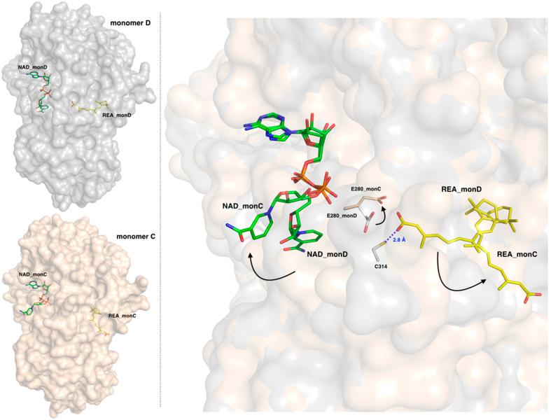 https://cdn.ncbi.nlm.nih.gov/pmc/blobs/720f/5069622/0e6f47d82084/srep35710-f3.jpg