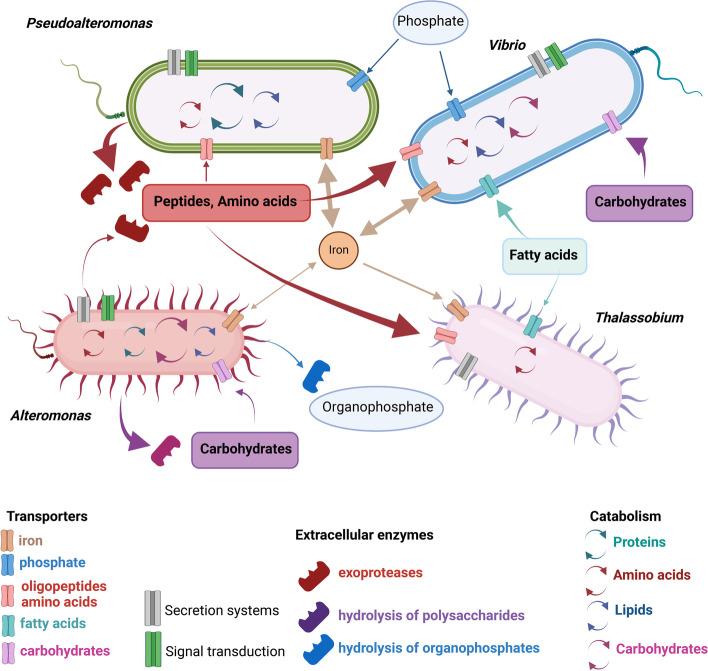 https://cdn.ncbi.nlm.nih.gov/pmc/blobs/7212/10360251/30fd4648bca2/40168_2023_1598_Fig8_HTML.jpg