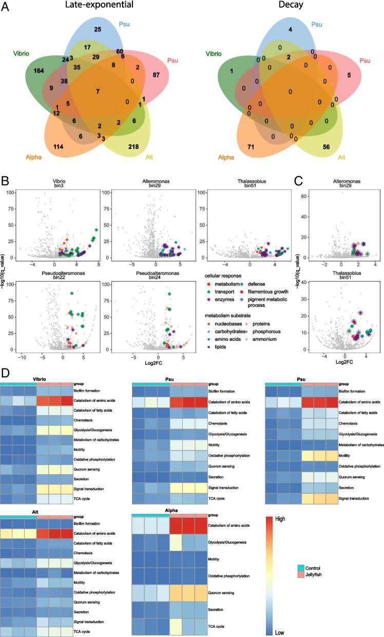 https://cdn.ncbi.nlm.nih.gov/pmc/blobs/7212/10360251/99b69cfc30e5/40168_2023_1598_Fig6_HTML.jpg