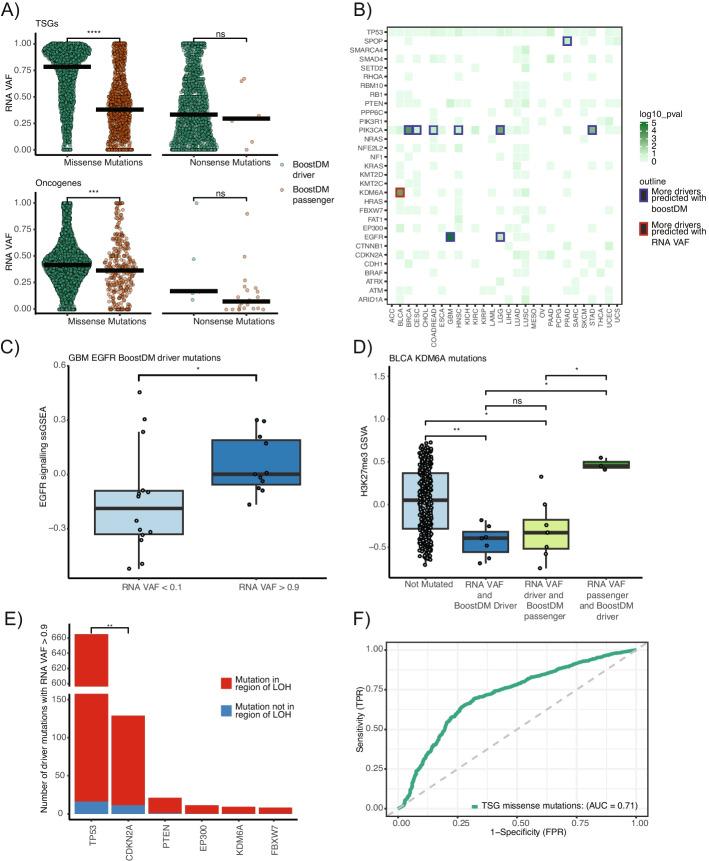 https://cdn.ncbi.nlm.nih.gov/pmc/blobs/7212/12164115/0b0dc257c88d/13059_2025_3557_Fig5_HTML.jpg