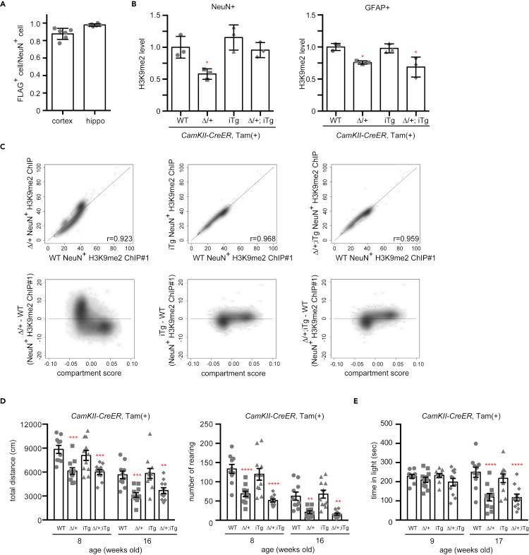 https://cdn.ncbi.nlm.nih.gov/pmc/blobs/7213/8258976/3a402e84afe9/gr2.jpg