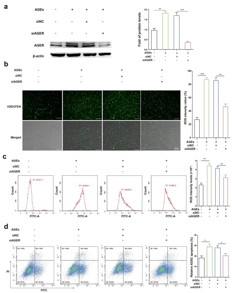 https://cdn.ncbi.nlm.nih.gov/pmc/blobs/7214/8918758/1856a0eb4080/tkac001f3.jpg
