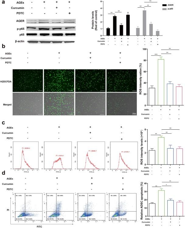 https://cdn.ncbi.nlm.nih.gov/pmc/blobs/7214/8918758/5b1a94e02946/tkac001f4.jpg