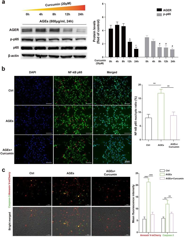 https://cdn.ncbi.nlm.nih.gov/pmc/blobs/7214/8918758/7454584000db/tkac001f5.jpg