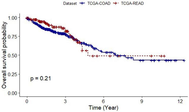https://cdn.ncbi.nlm.nih.gov/pmc/blobs/7215/11488504/46546ed3ba51/CEG-17-317-g0001.jpg
