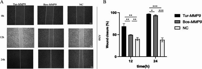 https://cdn.ncbi.nlm.nih.gov/pmc/blobs/7216/12143041/9268a2d67794/12864_2025_11751_Fig5_HTML.jpg