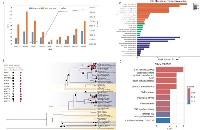 https://cdn.ncbi.nlm.nih.gov/pmc/blobs/7216/12143041/ce96487ac9ea/12864_2025_11751_Fig1_HTML.jpg