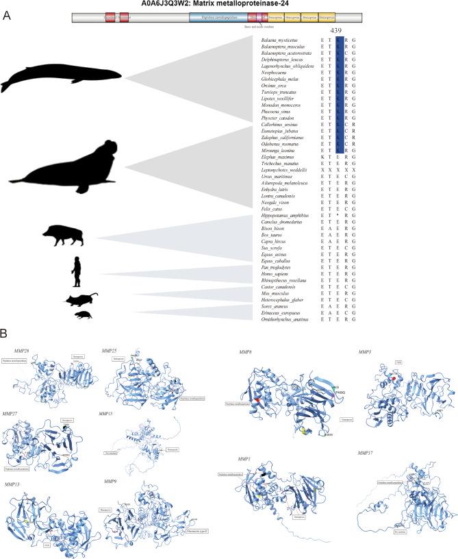 https://cdn.ncbi.nlm.nih.gov/pmc/blobs/7216/12143041/d7f6af91ca5b/12864_2025_11751_Fig2_HTML.jpg