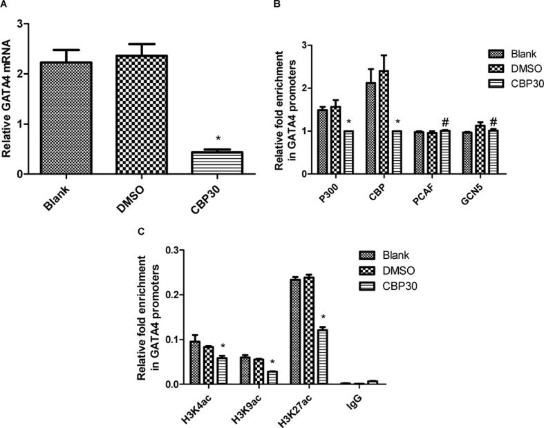 https://cdn.ncbi.nlm.nih.gov/pmc/blobs/7218/6997570/3a423ddc668f/gr4.jpg
