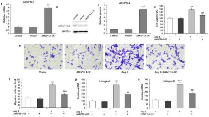 https://cdn.ncbi.nlm.nih.gov/pmc/blobs/7219/10083826/aef424671369/IJBMS-26-587-g003.jpg