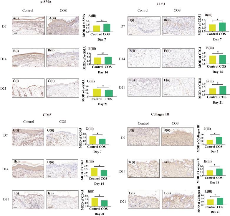 https://cdn.ncbi.nlm.nih.gov/pmc/blobs/721f/11697320/975623bf4fba/41598_2024_84398_Fig3_HTML.jpg