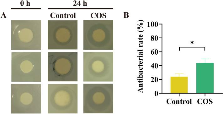 https://cdn.ncbi.nlm.nih.gov/pmc/blobs/721f/11697320/9ec06400c00e/41598_2024_84398_Fig10_HTML.jpg