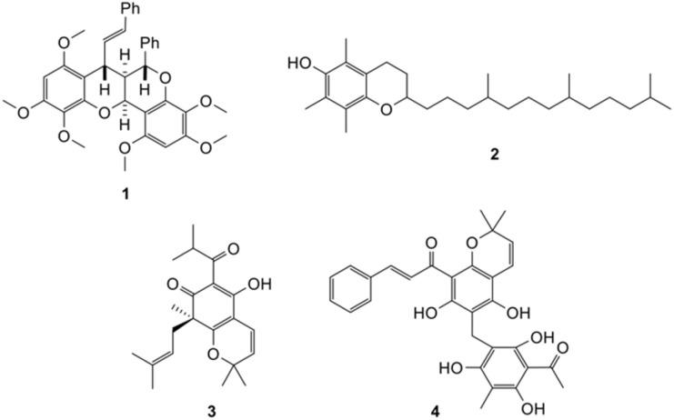 https://cdn.ncbi.nlm.nih.gov/pmc/blobs/7220/11775649/4bc1ee88b2d0/d4ra08704f-f1.jpg