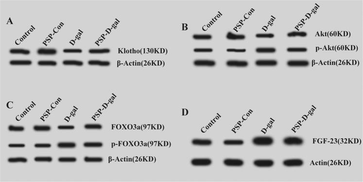 https://cdn.ncbi.nlm.nih.gov/pmc/blobs/7221/7010663/aa6fcaef63ef/41598_2020_59055_Fig12_HTML.jpg