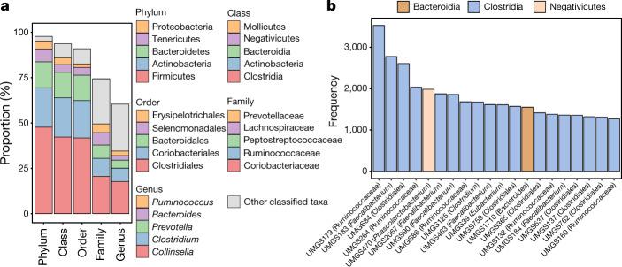 https://cdn.ncbi.nlm.nih.gov/pmc/blobs/7223/6784870/6011d7bd5c2f/41586_2019_965_Fig2_HTML.jpg