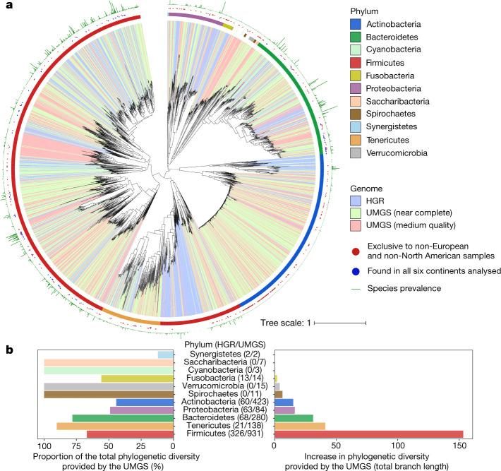 https://cdn.ncbi.nlm.nih.gov/pmc/blobs/7223/6784870/a10efe0b5be6/41586_2019_965_Fig3_HTML.jpg