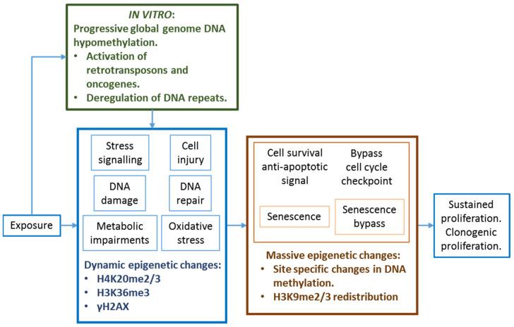 https://cdn.ncbi.nlm.nih.gov/pmc/blobs/7223/8535778/3b1f100b6519/ijms-22-10969-g006.jpg