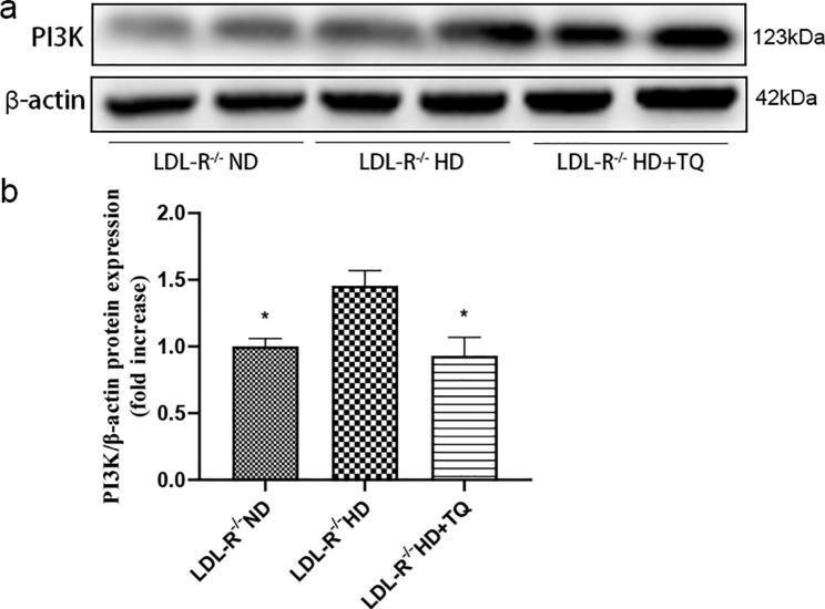 https://cdn.ncbi.nlm.nih.gov/pmc/blobs/7225/10416449/3147e3280fb3/12876_2023_2895_Fig7_HTML.jpg