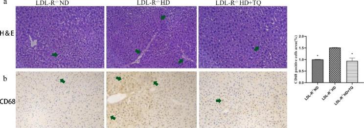 https://cdn.ncbi.nlm.nih.gov/pmc/blobs/7225/10416449/6377e23126d0/12876_2023_2895_Fig4_HTML.jpg