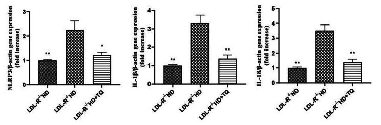 https://cdn.ncbi.nlm.nih.gov/pmc/blobs/7225/10416449/996f16012f4a/12876_2023_2895_Fig5_HTML.jpg