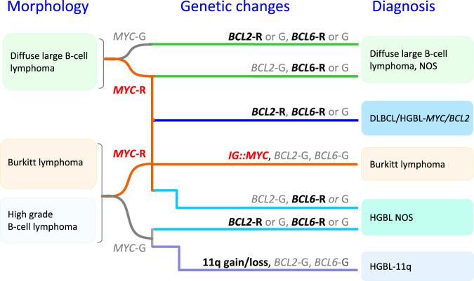 https://cdn.ncbi.nlm.nih.gov/pmc/blobs/7225/9252901/4ff504a29512/41375_2022_1620_Fig4_HTML.jpg